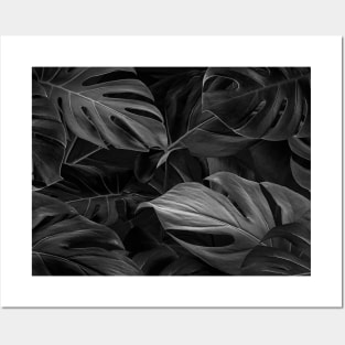 Black Monstera Leaf Pattern Posters and Art